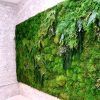 Moss Wall Art (Photo 13 of 15)