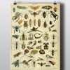 Insect Wall Art (Photo 3 of 15)