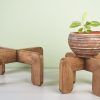 Rustic Plant Stands (Photo 1 of 15)