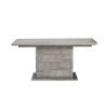 Gray Wash Banks Pedestal Extending Dining Tables (Photo 21 of 25)
