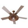 Copper Outdoor Ceiling Fans (Photo 12 of 15)