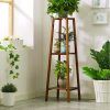 Tall Plant Stands (Photo 1 of 15)