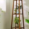 Three-Tier Plant Stands (Photo 8 of 15)