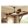Brown Outdoor Ceiling Fan With Light (Photo 14 of 15)
