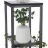 The Best 32-inch Plant Stands