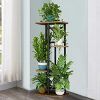 4-Tier Plant Stands (Photo 10 of 15)