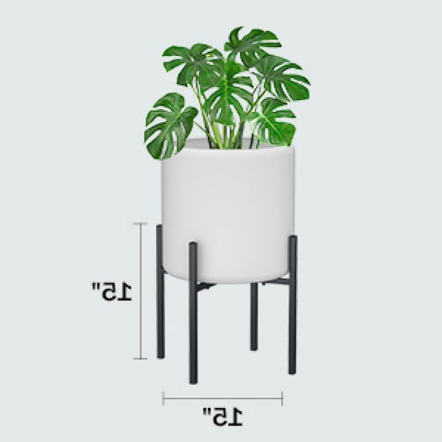 15 Collection of 15-inch Plant Stands