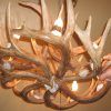 Antlers Chandeliers (Photo 10 of 15)