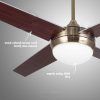 Outdoor Ceiling Fans With Pull Chains (Photo 5 of 15)