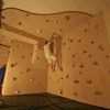 Home Bouldering Wall Design (Photo 9 of 15)