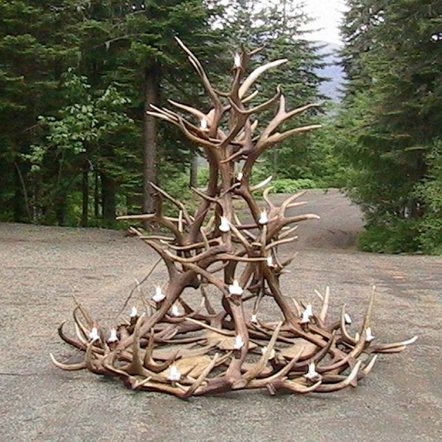 15 Collection of Large Antler Chandelier