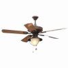 Outdoor Ceiling Fans With Schoolhouse Light (Photo 13 of 15)