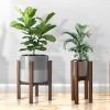 Modern Plant Stands (Photo 14 of 15)