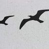 Birds In Flight Metal Wall Art (Photo 5 of 15)