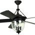 15 Inspirations Black Outdoor Ceiling Fans with Light