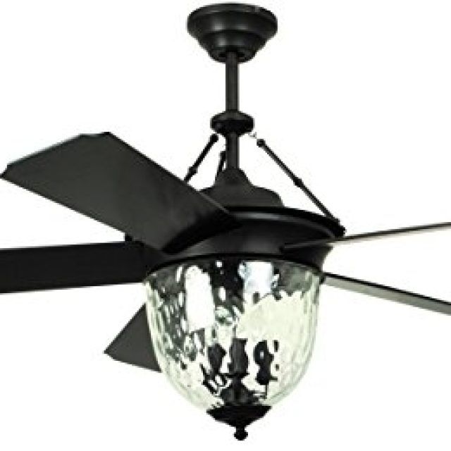 15 Inspirations Black Outdoor Ceiling Fans with Light