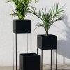 Black Plant Stands (Photo 6 of 15)