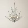 Branch Crystal Chandelier (Photo 12 of 15)