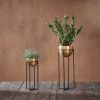 Brass Plant Stands (Photo 4 of 15)