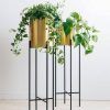 Brass Plant Stands (Photo 8 of 15)