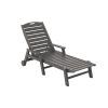 Brown Outdoor Chaise Lounge Chairs (Photo 7 of 15)
