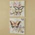 15 Inspirations Butterfly Canvas Wall Art