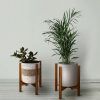 Wood Plant Stands (Photo 6 of 15)