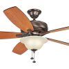 Efficient Outdoor Ceiling Fans (Photo 14 of 15)