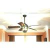 Outdoor Ceiling Fans With Misters (Photo 8 of 15)