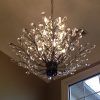 Crystal Branch Chandelier (Photo 13 of 15)