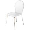 Chrome Dining Chairs (Photo 6 of 25)