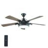 Coastal Outdoor Ceiling Fans (Photo 8 of 15)