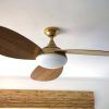 Contemporary Outdoor Ceiling Fans (Photo 11 of 15)