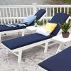 Blue Outdoor Chaise Lounge Chairs (Photo 3 of 15)