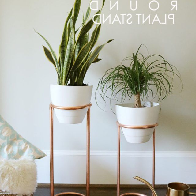 15 Best Collection of Copper Plant Stands