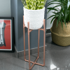 Copper Plant Stands (Photo 10 of 15)