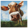 Cow Canvas Wall Art (Photo 7 of 15)