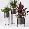Bronze Plant Stands (Photo 3 of 15)