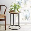 15.5-Inch Plant Stands (Photo 1 of 15)