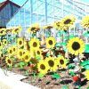 Metal Sunflower Yard Art (Photo 10 of 15)