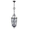 French Iron Lantern Chandeliers (Photo 4 of 15)
