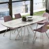 Dining Tables With Brushed Stainless Steel Frame (Photo 10 of 25)