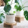Wooden Plant Stands (Photo 14 of 15)