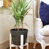 Painted Wood Plant Stands (Photo 7 of 15)