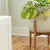 Wooden Plant Stands (Photo 7 of 15)