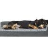 Dog Chaise Lounges (Photo 4 of 15)
