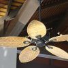 Outdoor Ceiling Fans For Decks (Photo 9 of 15)