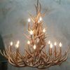 Stag Horn Chandelier (Photo 5 of 15)