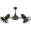 Dual Outdoor Ceiling Fans With Lights (Photo 7 of 15)