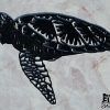 Turtles Wall Art (Photo 15 of 15)